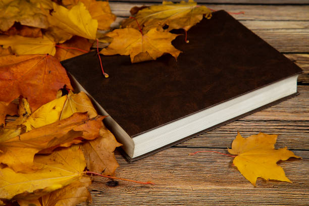 istock The book is on the table covered with autumn leaves. 1277616473