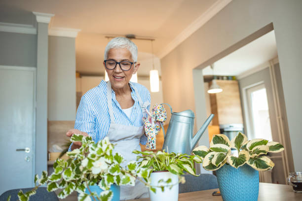 istock Retired Female Care for Her Plants 1277618263