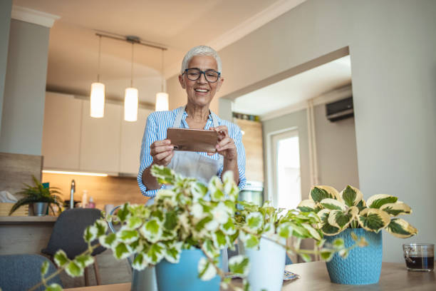 istock Retired Female Care for Her Plants 1277618376