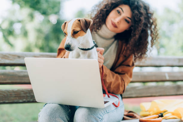 istock selective focus of curly freelancer holding jack russell terrier dog while sitting on bench with laptop 1277623343