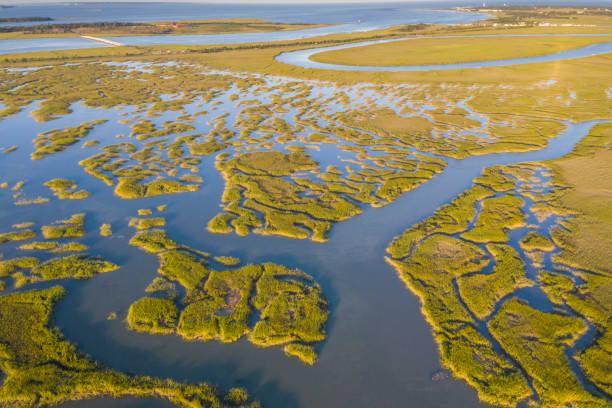 istock Aerial view of the marshlands 1277624660