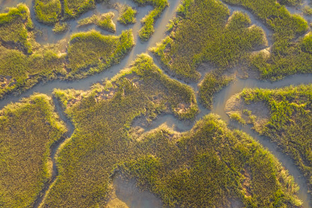 istock Aerial view of the marshlands 1277624714