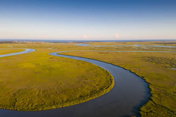 istock Georgia's coastal marshlands 1277624741