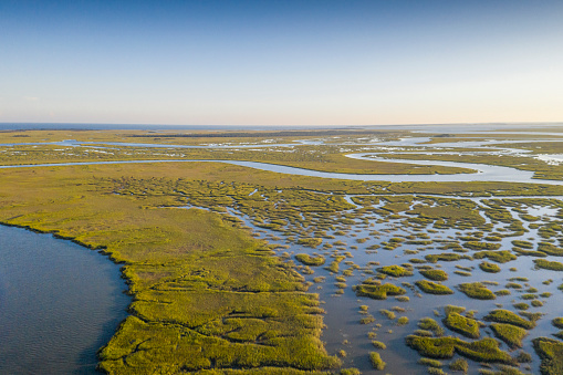 Aerial view of the marshlands between Savannah and Tybee Island. Marshes in Georgia have been identified as one of the most extensive and productive marshland systems in the United States.