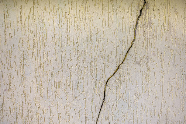 Background is a yellow texture stone wall with a crack in the middle, copy space