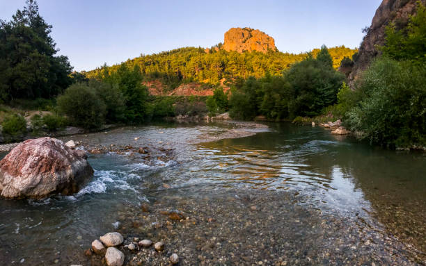 River and forest flowing from Mountain foothills