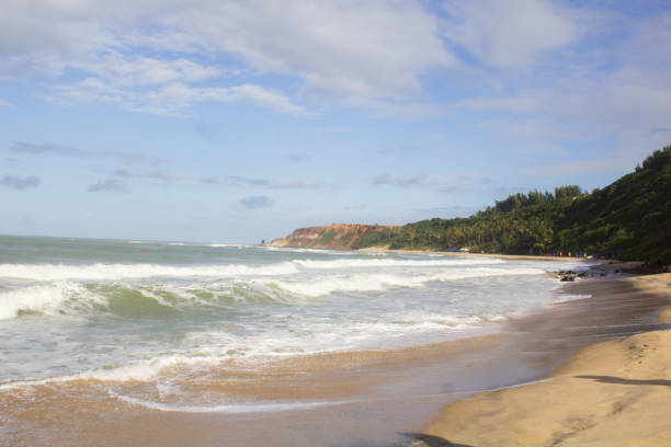 istock beautiful beach landscape on a very beautiful day 1277626515