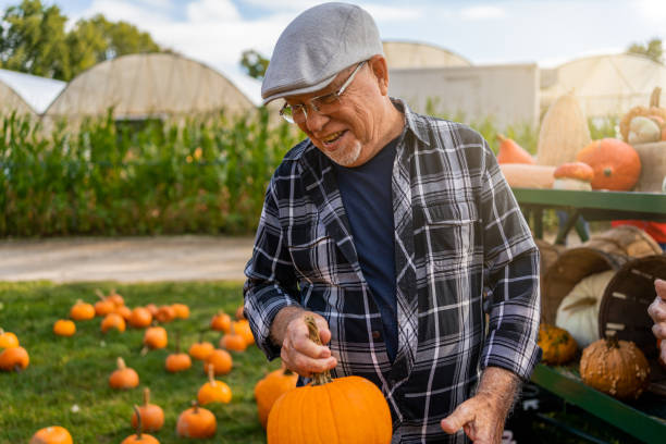 uomo latino che raccoglie zucche durante l'autunno - adult senior adult traditional culture usa foto e immagini stock