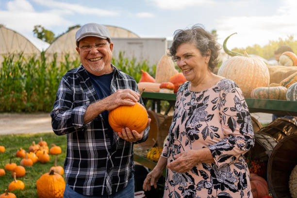 istock Latin senior couple picking pumpkins during Autumn 1277627556