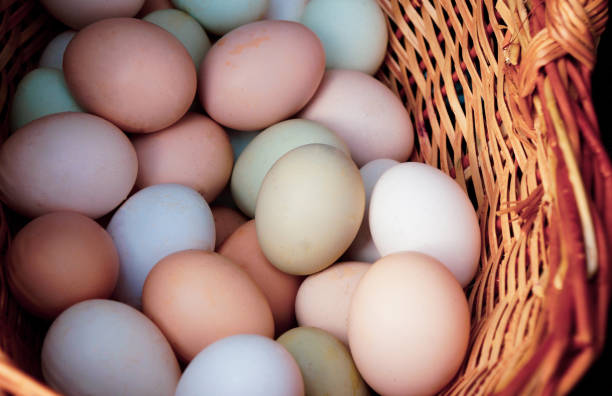 istock chicken eggs in a wicker basket 1277628387