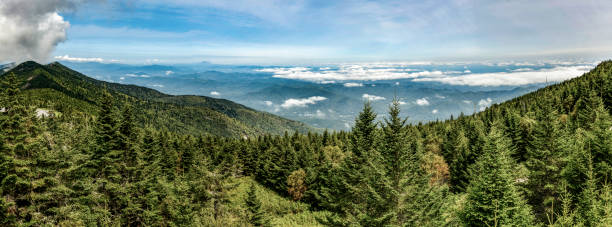 Great Smoky Mountains Panorama Panoramic view of the Great Smoky Mountains taken from the summit of Mount Mitchell, highest peak east of the Mississippi River. robertmichaud stock pictures, royalty-free photos & images