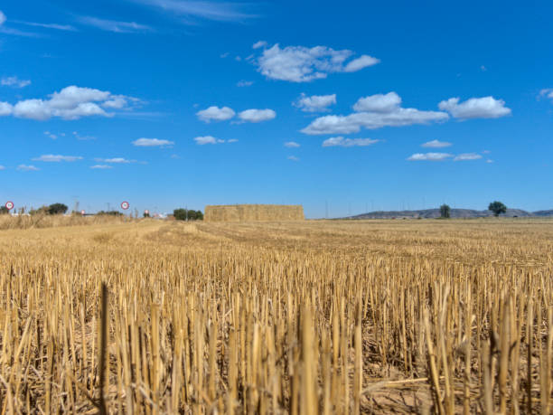 istock Country side view with empty road, blue sky and white cotton clouds 1277636749