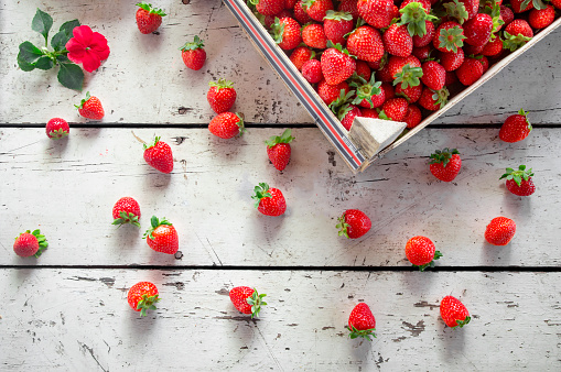 Fresh ripe harvested strawberries in basket on white wooden table, Summer fruit, strawberry ( Fragaria )