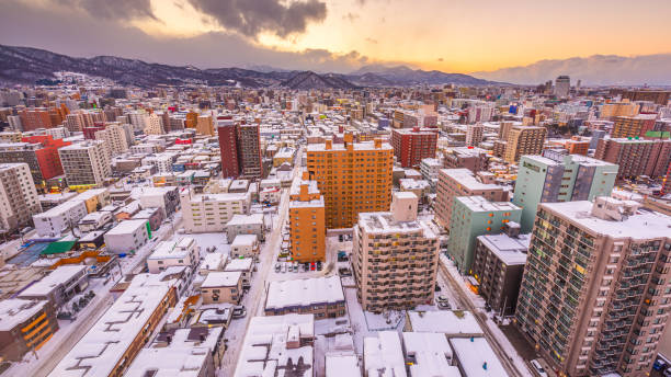 istock Sapporo, Japan Winter Skyoine 1277639491