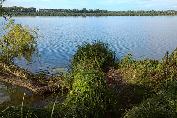 istock Shore of a lake at sunset 1277644324