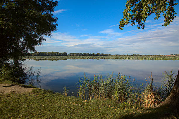 istock Shore of a lake at sunset framed by trees 1277644459