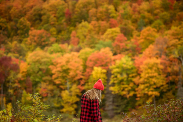 istock Female hiker surrounded by beautiful fall colors 1277649793
