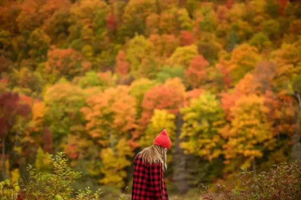 Female hiker in the mountains on a fall day with vibrant fall trees.