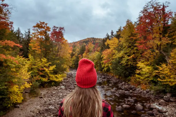 Female hiker in the mountains on a fall day with vibrant fall trees.