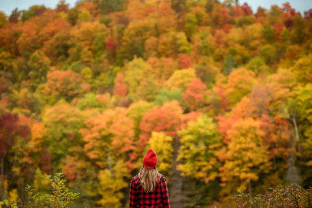 istock Female hiker surrounded by beautiful fall colors 1277649932