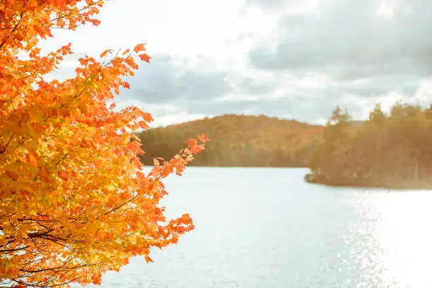 Beautiful autumn scenery in the Adirondack mountains.