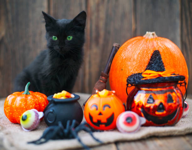 istock Halloween pumpkin and black cat on wooden background 1277650150