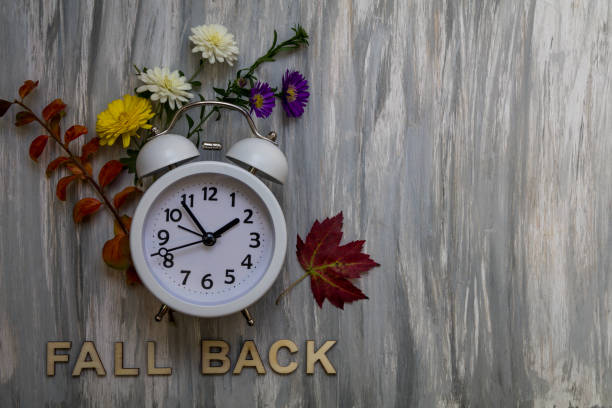 fall back koncepcja czasu letniego z białym budzikiem i świeżymi jesiennymi kwiatami liści na szarej desce z drewna - clock time alarm clock orange zdjęcia i obrazy z banku zdjęć