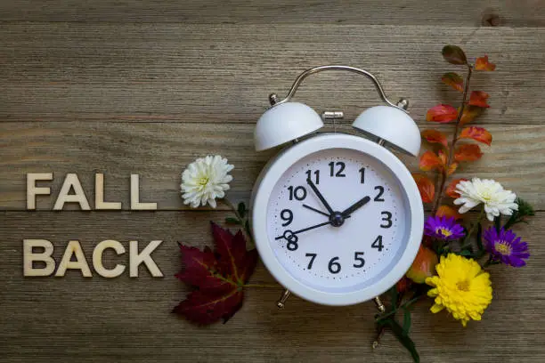 FALL BACK Daylight Saving Time concept with white alarm clock and fresh fall flowers foliage on hand painted gray wood board flat lay