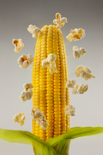 Photomontage of popcorn floating around a cob