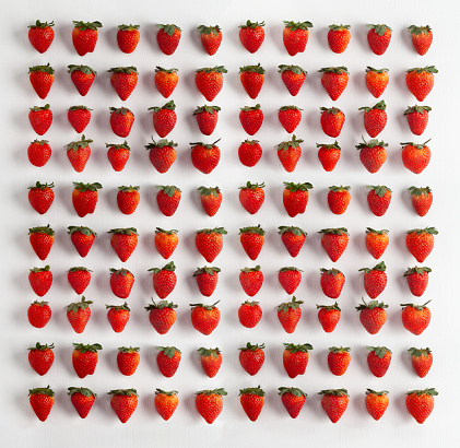 red delicious strawberries on a white background repeating in a square crop, vibrant and red.