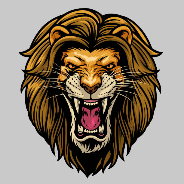 zły ryczący męski lew głowa - tropical rainforest animal cartoon lion stock illustrations