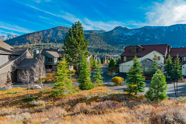Mammoth Lakes, California is filled with homes and pine trees and snow covered mountains in the fall. Pine trees line a street in a village area of homes in Mammoth Lakes in Autumn. Snow covered mountains jut up from the valley floor in the background. foothills photos stock pictures, royalty-free photos & images