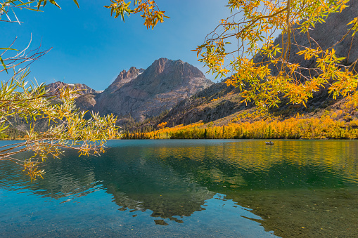 Willow  and Aspen trees are golden in Autumn and surround Silver Lake at June Lake Loop in the Californian Sierra Nevada mountains of California.