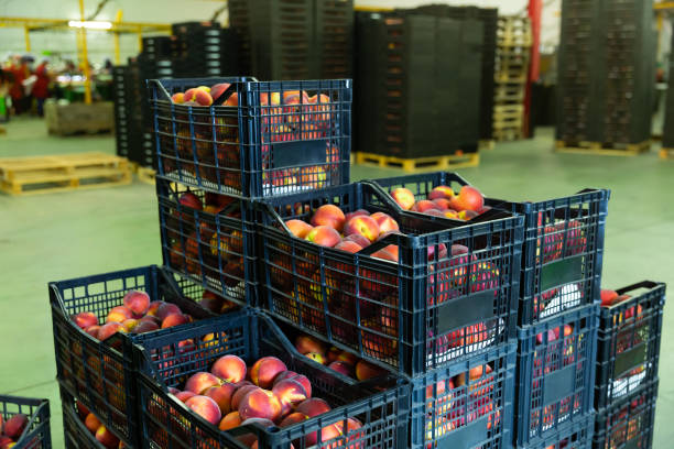 istock Stacks of fruit boxes with fresh peaches in storage warehouse 1277683490