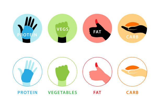 ilustrações, clipart, desenhos animados e ícones de ícones de porção de alimentos medidos manualmente. ilustração de conceito de dieta. - portion