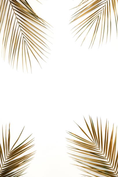 istock Gold palm leaves frame isolated on a white background. top view. copy space. abstract. 1277699266