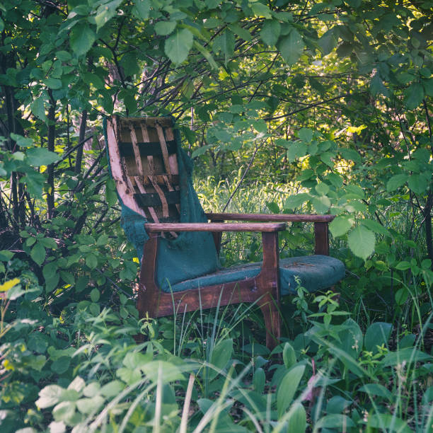 An old broken chair stands alone in a thicket of green forest