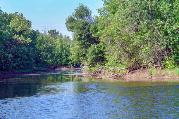 istock Calm forest lake on a quiet Sunny day. Summer landscape 1277702651