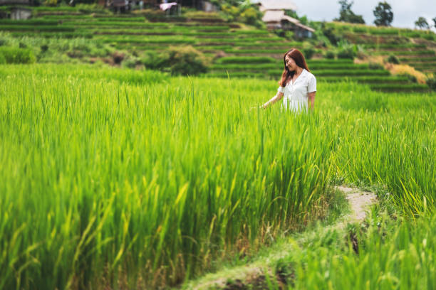 istock a beautiful young asian woman in paddy field 1277703882
