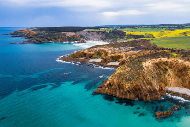 littoral à la plage de king george sur l’île de kangourou - south australia photos et images de collection