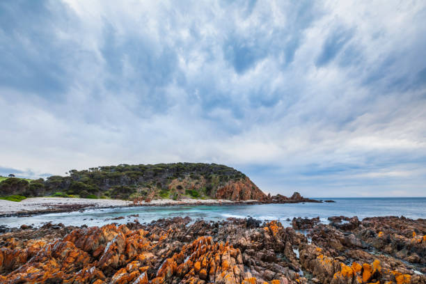 istock Coastline at King George beach on Kangaroo Island 1277703934
