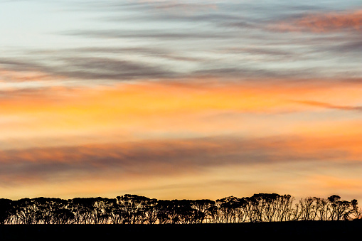 Kangaroo Island landscape at sunset