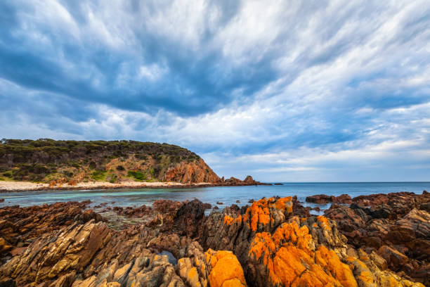 istock Coastline at King George beach on Kangaroo Island 1277704290