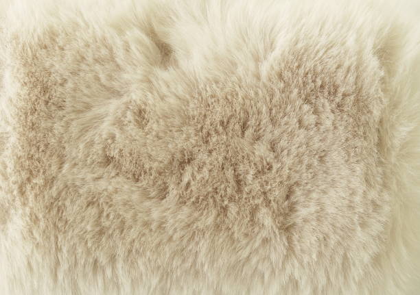 istock Beige long fibre soft fur texture. background full frame. copy space 1277705339