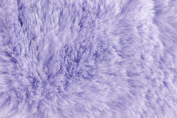 istock Violet long fibre soft fur texture. background full frame. copy space 1277705404