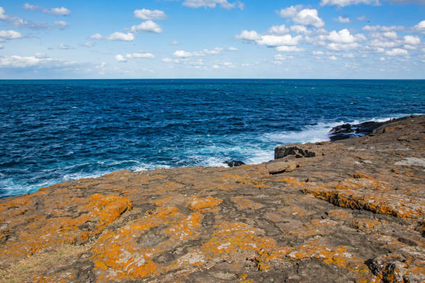 istock seascape, waves and cliffs from the black sea coast in istanbul 1277706542