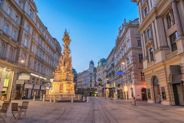 비엔나 전염병 기둥 또는 해충의 비엔나 오스트리아 야간 도시 스카이라인 - architecture austria building exterior color image 뉴스 사진 이미지