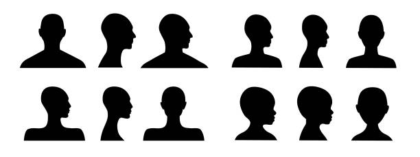 ilustrações de stock, clip art, desenhos animados e ícones de front and side view human head silhouette of an adult male, a female, gender neutral, a teenager and a toddler. anonymous avatars. incognito person face - mulher careca