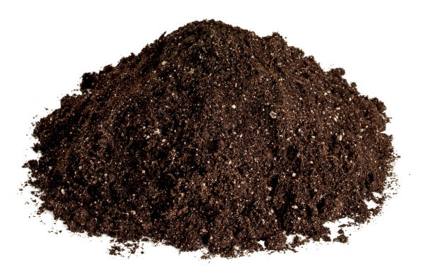 istock Heap of potting soil (dirt) isolated on white 1277725345