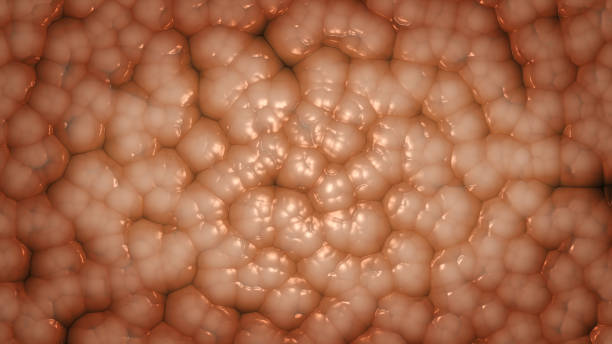 추상적 유기 배경 (변형, 생물학적 세포, 뇌 세포) - 마이크로글리아 뉴스 사진 이미지
